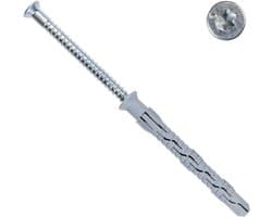 Lange Chemie anker pluggen Verzinkt 10x100mm - 50 Stuks met Torx - Geschikt voor Beton en Steen