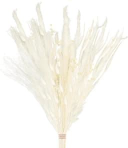 Gedroogde bloemen, pampasgras boho boeket, konijnenstaarten, voor in een vaas voor uw huis, slaapkamer en woonkamer (stijl 3) — thumbnail 1