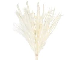 Gedroogde bloemen, pampasgras boho boeket, konijnenstaarten, voor in een vaas voor uw huis, slaapkamer en woonkamer (stijl 3)