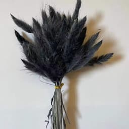 Gedroogd, zwart, natuurlijk boeket voor decoratie, 120 stuks — thumbnail 1