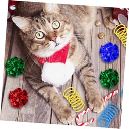 1Set Interactieve Kattenspeelgoedset Binnenkatten Kleurrijke Knisperballen Veerspeelgoed Speelplezier Zelfbezigheid Kittens — thumbnail 5