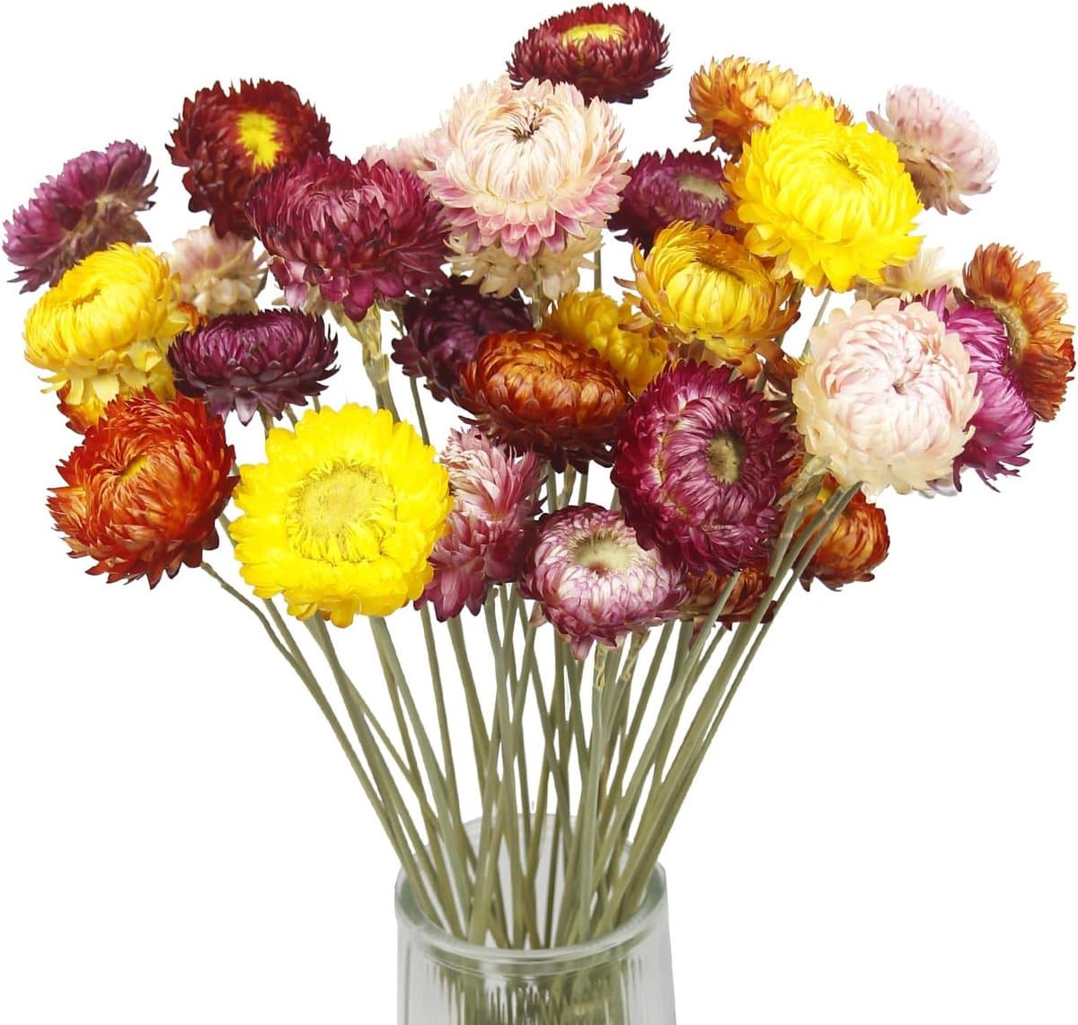 20 gedroogde strochrysanten — afbeelding 1