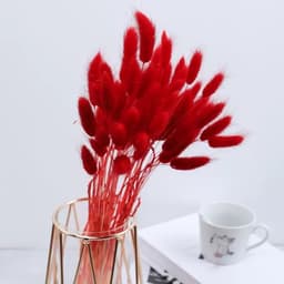 Gedroogd pampasgras, konijnenstaart, gras, 60 stuks, natuurlijke droogbloemen, boeket, decoratie, kunst, groot, droogbloemen, pampasgras voor interieur, fotografie, bruiloft, rood — thumbnail 2