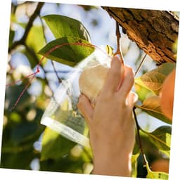 Fruit Beschermzakken - Netzakken Tuin - Fruit Beschermen - Met Touwtjes - 150 Stuks - Wit — thumbnail 3