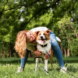 Allecto Plus - Grondanker voor honden en trampolines - Robuust grondanker van 43 cm voor grote en middelgrote honden - inclusief sleeplijn van 3 m - roestvrije zekeringsset — thumbnail 3