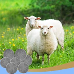 Allecto Plus - 6 stuks natuurlijke herbruikbare drogerballen van wol voor de wasdroger in donkergrijs - Efficiënt en milieuvriendelijk - Ideaal voor donsjacks. — thumbnail 2