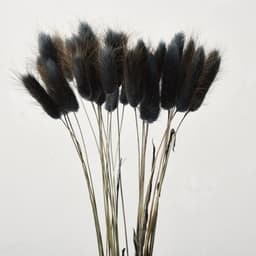 Gedroogd, zwart, natuurlijk boeket voor decoratie, 120 stuks — thumbnail 3