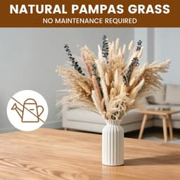 Gedroogd Pampasgras, 140 stuks Pampasdecoratie — thumbnail 2