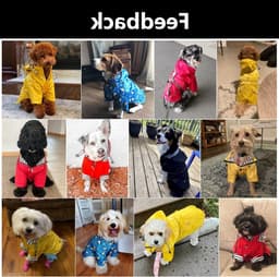 Hondenregenjas met Rits en Reflecterende Knopen, Waterafstotend, Verstelbare Trekkoord, Afneembare Kap, Stijlvolle Premium Regenjassen voor Honden - Maten XS tot XXL Beschikbaar - Geel - M — thumbnail 5