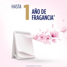Flor Wasparfum met roze bloemengeur, tot 36 blikjes, 720 ml, 1 stuk - ShopVlot — thumbnail 5