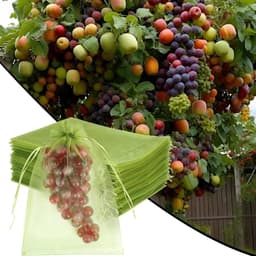 Fruitzakjes van netstof - Beschermzakken voor fruit - Bescherming van oogst - Geoptimaliseerde luchtcirculatie - 15 x 20 cm - Fruitgroen — thumbnail 2