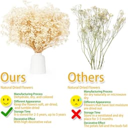 Gedroogde bloemen, meer dan 3500 ivoorwitte bloemen, natuurlijke gypsophila takken voor doe-het-zelf krans, huis, bruiloft, tafel, vaas — thumbnail 4