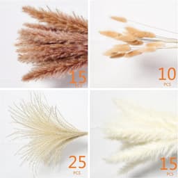 Droogbloemen, decoratie, kleine natuurlijke gedroogde boeketten van pampasgras, boho-decoratie, voor woonkamer, tafel, slaapkamer, bruiloften, badkamer, 70 stuks — thumbnail 4
