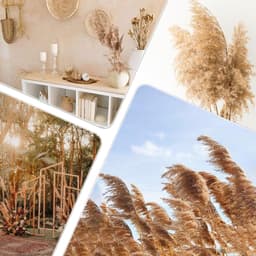 Gedroogd Pampasgras - 45 stuks Natuurlijke Gedroogde Bloemen Decoratie, Bruin Pampas Gras Pluizige Vruchtjes, Pampas Gedroogde Bloemen Boeket voor Bruiloft Tafel Decoratie Woonkamer — thumbnail 3