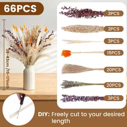 Gedroogd Pampasgras, 66 stuks Pampasdecoratie — thumbnail 4