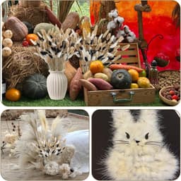 100 Bunny Tail Dried Flowers Bouquet 42cm Artificial Pampas Grass — thumbnail 3