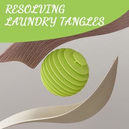 Herbruikbare Drogerballen - Kunststof - Effectieve Vuilverwijdering - Voorkomt Klitten - Voor Alle Wassen — thumbnail 2