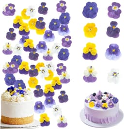 8 soorten natuurlijk gedroogd, 40 stuks geperste bloemen, veelkleurige mix altviool driekleur voor taarttopper, decoratie van cocktailhars, sieraden maken, doe-het-zelf kunstambachten — thumbnail 1