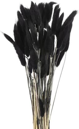 60 stuks konijnenstaarten, natuurlijke gedroogde bloemen, 43,2 cm, mini-hazenstaart, lagurus ovatus, bloemenboeket voor bloemendecoratie, bruiloft, Kerstmis, zwart — thumbnail 2
