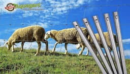 Hekanker W Profiel - Grondanker Staal - Omheining Stabiliseren - Verzinkt Bandstaal - 70 cm - Grijs — thumbnail 5