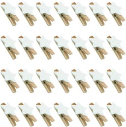 Dailygoods- Sterren Wasknijpers 100 Stuks - Houten Clips - Decoratieve Klemmen - Handwerk - Klemmen voor Kerstmis - Duurzaam Hout - Decoratieve Knijpers — thumbnail 1