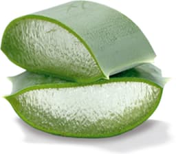 Frosch Wasmiddel Aloe Vera 1500 ml — thumbnail 2