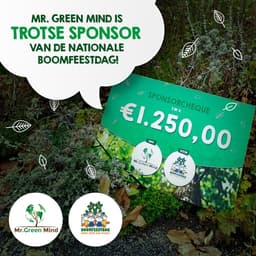 Mr. Green Mind Wasparels Misty Mountains - Wasparfum - Geurbooster - Geurparels - Kledingverfrisser - Proefpakket — thumbnail 3
