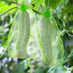 150 Stuks Herbruikbare Fruitbeschermingsnetten met Trekkoord voor Tuin — thumbnail 3