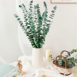 Gedroogde gedroogde gedroogde bloemen decoratief 45 cm natuurlijk fris groen met echte eucalyptusbladeren plant ideaal voor vazen bloemstukken bruiloftsdecoraties en wooncultuur — thumbnail 5