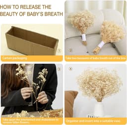 Gedroogde bloemen, meer dan 3500 ivoorwitte bloemen, natuurlijke gypsophila takken voor doe-het-zelf krans, huis, bruiloft, tafel, vaas — thumbnail 5