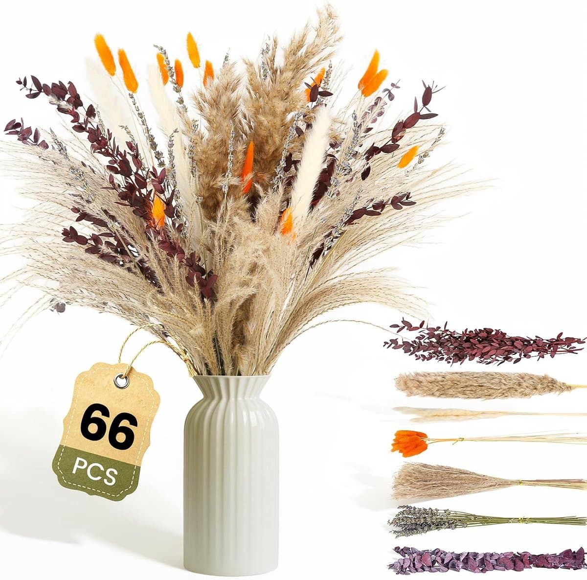 Gedroogd Pampasgras, 66 stuks Pampasdecoratie — afbeelding 1