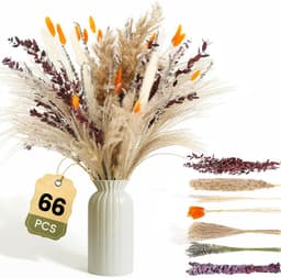 Gedroogd Pampasgras, 66 stuks Pampasdecoratie — thumbnail 1