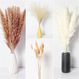 Droogbloemen, decoratie, kleine natuurlijke gedroogde boeketten van pampasgras, boho-decoratie, voor woonkamer, tafel, slaapkamer, bruiloften, badkamer, 70 stuks — thumbnail 3