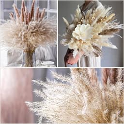 185 stuks natuurlijk gedroogd pampasgras decor, hoge pompas, bloemige rietgrassen, pluimstaarten, gedroogd boho bloemstuk voor bruiloft, tafel, woonkamer, slaapkamer, DIY-ambachten, boerderij — thumbnail 3