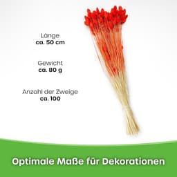 Dekogras Gedroogd Gras Siergras Kanariegras Phalaris Droogbloemen Natuurlijk Boho Ca. 100 Stuks 80 g Donker Roze — thumbnail 3
