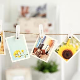 24 Stuks Kledingknijpers, Winddichte Wasknijpers, Antislip Siliconen Handdoekclips voor T-Shirts, Sokken en Handdoeken — thumbnail 3