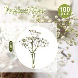 Gedroogde witte droogbloemen om te knutselen, droogbloemen, gedroogde bloemen voor doe-het-zelf fotolijst, bladwijzer, wenskaarten, 5-10 cm — thumbnail 3