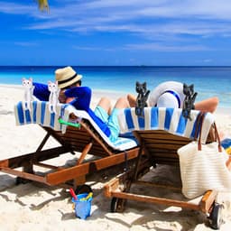 4 stuks handdoekklemmen met kattenmotief voor strandstoel | Schattig design, voor strandlaken en badhanddoek, windbescherming, grote wasknijpers, geschikt voor beddengoed — thumbnail 3