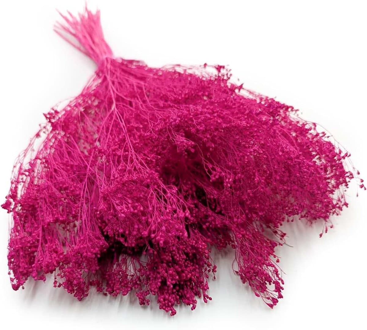 Gedroogde bloemen - Broom Bloom Bezenginster - Decoratief gras Siergras - Fuchsia — afbeelding 1