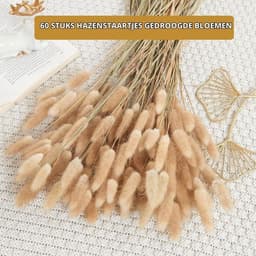 Pampas, 60 Stuks Natuurlijke Droogbloemen, Pampasgras, Konijnenstaart, Boho-Decoratie, Super Pluizig voor Thuis, Bruiloftsdecoratie (Natuurlijke Kleur) — thumbnail 2