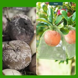 Fruitnetzakken - Beschermzakken - Oogst Beschermen - Herbruikbaar Gaas - 15 x 20 cm - Groen — thumbnail 5