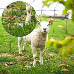 Grondankers voor Wildfence 33 cm - Galvanised staal - 30 stuks - Ideaal voor stabiele bevestiging - ShopVlot — thumbnail 2