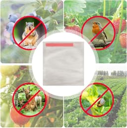Fruitbeschermzakken, fruitzakjes - 100 tomatbeschermzakken met fruitafdekking | druivenbeschermzakken, fruitboomzakken, fruitboomtassen, ca. 20 x 22 cm, riferimento alla descrizione, Zie — thumbnail 4
