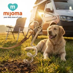 Dailygoods- Grondanker Spiraalvormig - Verankeringsspiraal voor Honden - Ideaal voor Buiten - Camping/Tuin - Veilig en Stevig - Hondenspiraal — thumbnail 3