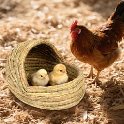 Hasenbett, Stroh-gewebtes Lukenhaus, Kleintierbett für Kaninchen, Frettchen, weiche Funktion, leicht zu reinigende Funktion, Haustierwerkzeug, Käfigzubehör für Vogelstall, Bauernhofzucht — thumbnail 5
