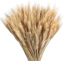 Gedroogde bloemen, kunstbloemen, tarwe, voor huisdecoratie, balkon, tuin, bruiloft, vaas, doe-het-zelf, 40 cm — thumbnail 1