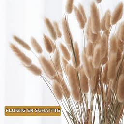 Pampas, 60 Stuks Natuurlijke Droogbloemen, Pampasgras, Konijnenstaart, Boho-Decoratie, Super Pluizig voor Thuis, Bruiloftsdecoratie (Natuurlijke Kleur) — thumbnail 4