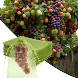 Fruitzakken - Beschermnetten Oogst - Vruchten Beschermen - Herbruikbaar Trekkoord - 100 stuks 15x20cm - Groen — thumbnail 4