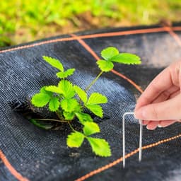 VVGoods - Tuingrondankers 100 stuks 100 x 20 x 2,5 mm verzinkt professionele grondanker onkruidfolie — thumbnail 3