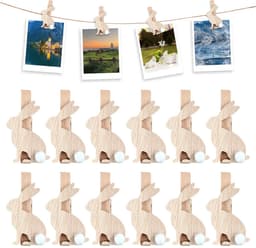 Dailygoods- Wasknijpers Hout 12 Stuks - Mini Wasknijpers — thumbnail 1